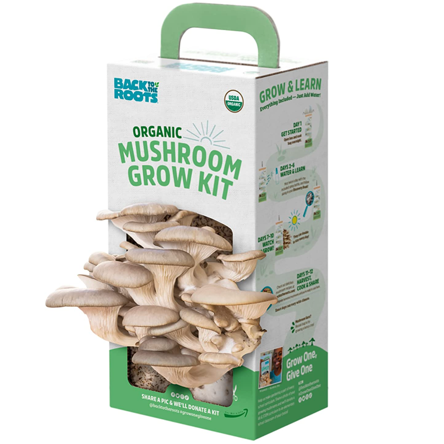 Back to the Roots Organic Mushroom Growing Kit